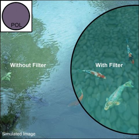 Marumi Circ. Pola Filter EXUS