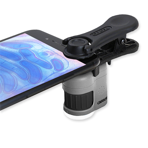 Carson Taschenmikroskop MM-380 MicroMini 20x mit Smartphone-Adapter
