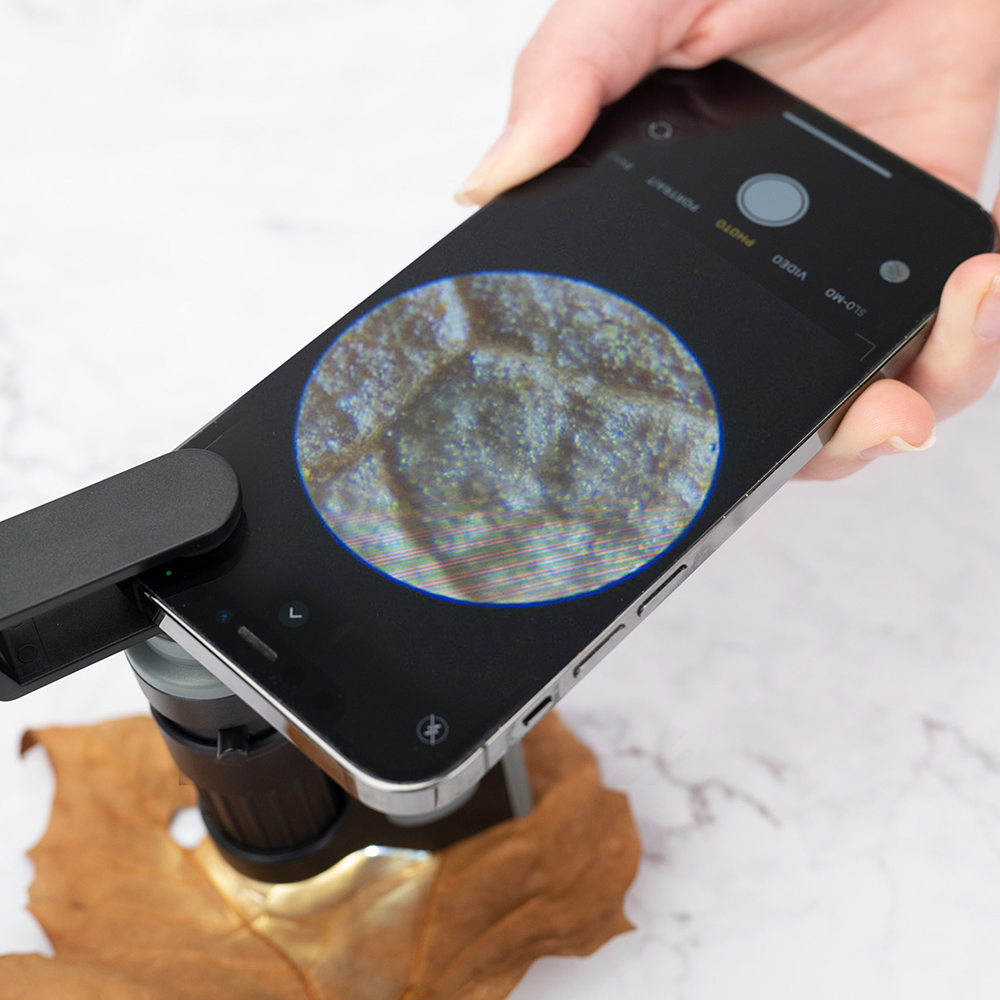 Carson Handmikroskop MM-300 MicroBrite Plus 60-120x mit Smartphone-Adapter