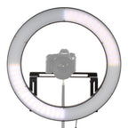 Falcon Eyes Bi-Color LED Ringlampe Dimmbar DVR-512DVC auf 230V