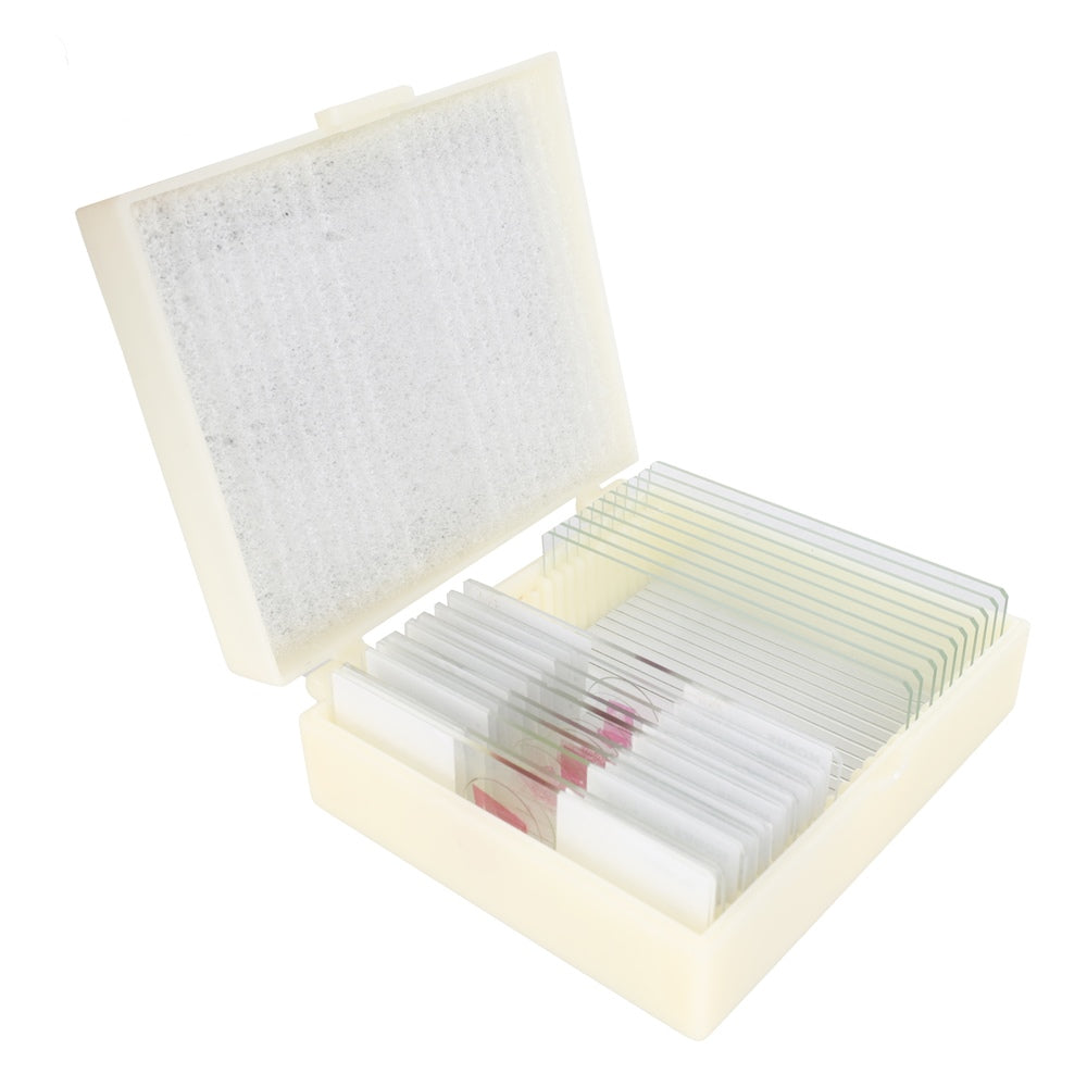 Konus Preparate Set Pathological Human Tissue 2 (10 Stk.)