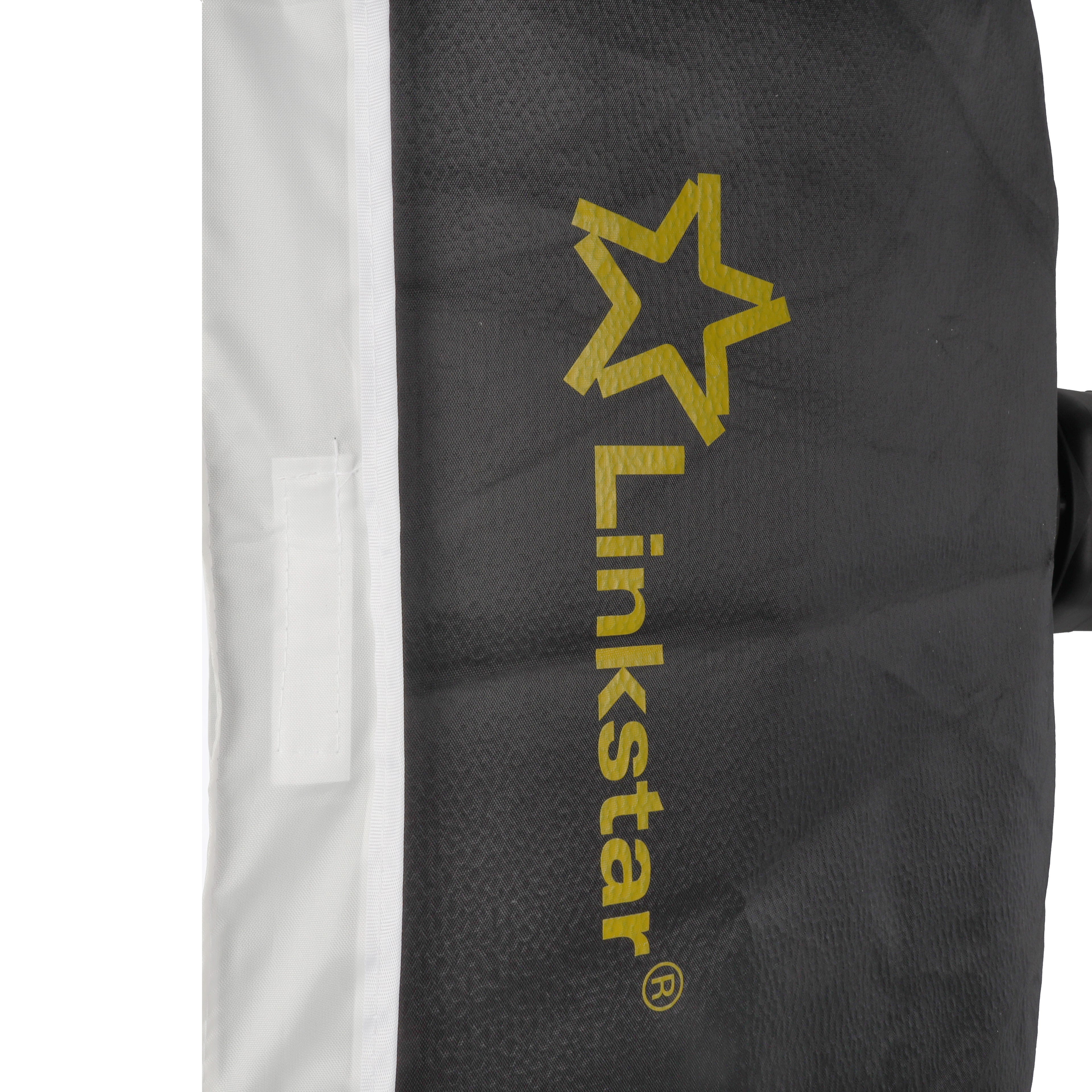 Linkstar Studioblitz Set LFK-250D Digital