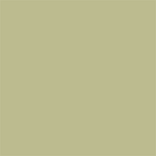 Superior Hintergrund Papier 13 Tropical Green