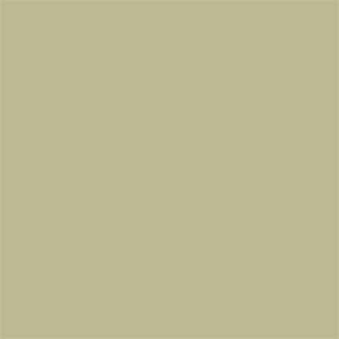 Superior Hintergrund Papier 13 Tropical Green