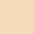 Superior Hintergrund Papier 64 Fawn