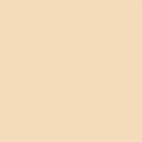Superior Hintergrund Papier 64 Fawn