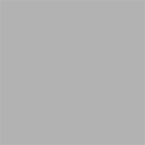 Superior Hintergrund Papier 72 Fossil Gray