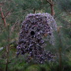 Buteo Photo Gear Hybrid-Tarnnetz Naturgrün 1,5x3 m