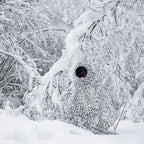 Buteo Photo Gear 3D-Blätter Tarnnetz Schnee