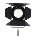 Falcon Eyes Bi-Color LED Spot Lampe Dimmbar CLL-3000TDX auf 230V
