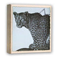 Zep WL57100 Album Slip-in 100 photos 13x19 cm - 12 Alben