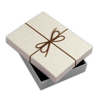 Zep Aufbewahrungskiste BX3514A Box Piacenza A 15,3x21,4x4