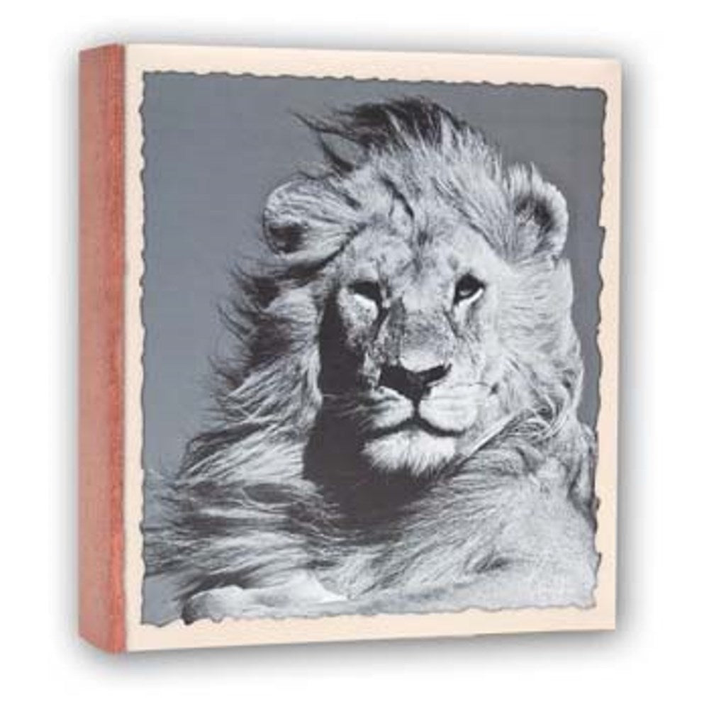 Zep WL57100 Album Slip-in 100 photos 13x19 cm - 12 Alben