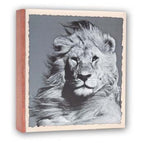 Zep WL57100 Album Slip-in 100 photos 13x19 cm - 12 Alben
