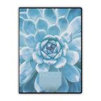 Zep MD4640 Set 36x Mini Album 40 photos 10x15 cm