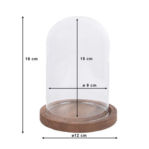 Clayre Eef 6GL1944 Glasglocke Transparent 12x16 cm