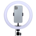 StudioKing LED Vlog Set SK-K190 mit Ringlamp und Mikrofonhalter