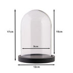 Clayre Eef Glasglocke 6GL2168Z Transparent 12x17 cm