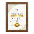 Zep V4729N Certificate Brown 29,7x42 cm
