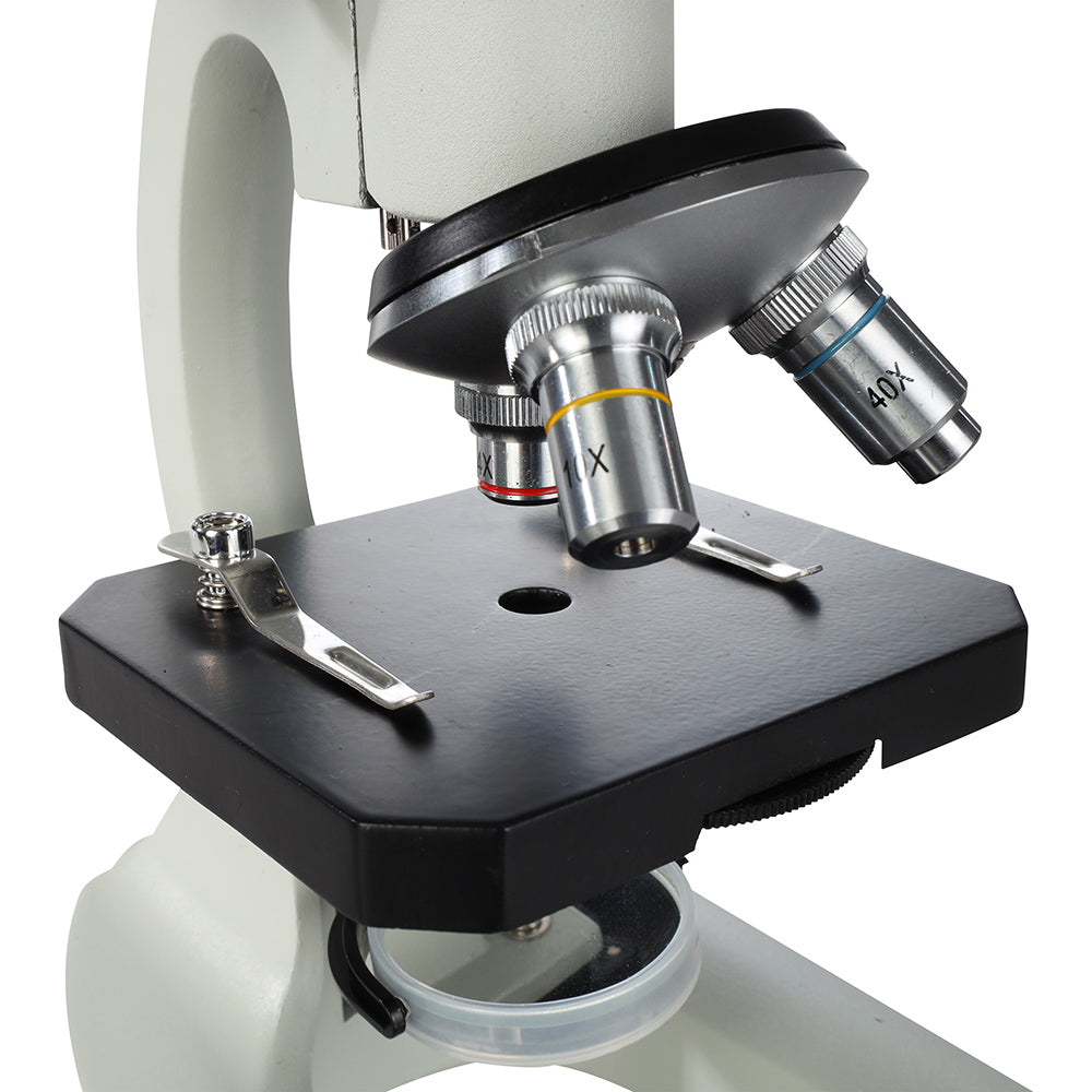Byomic Studie Mikroskop BYO-10