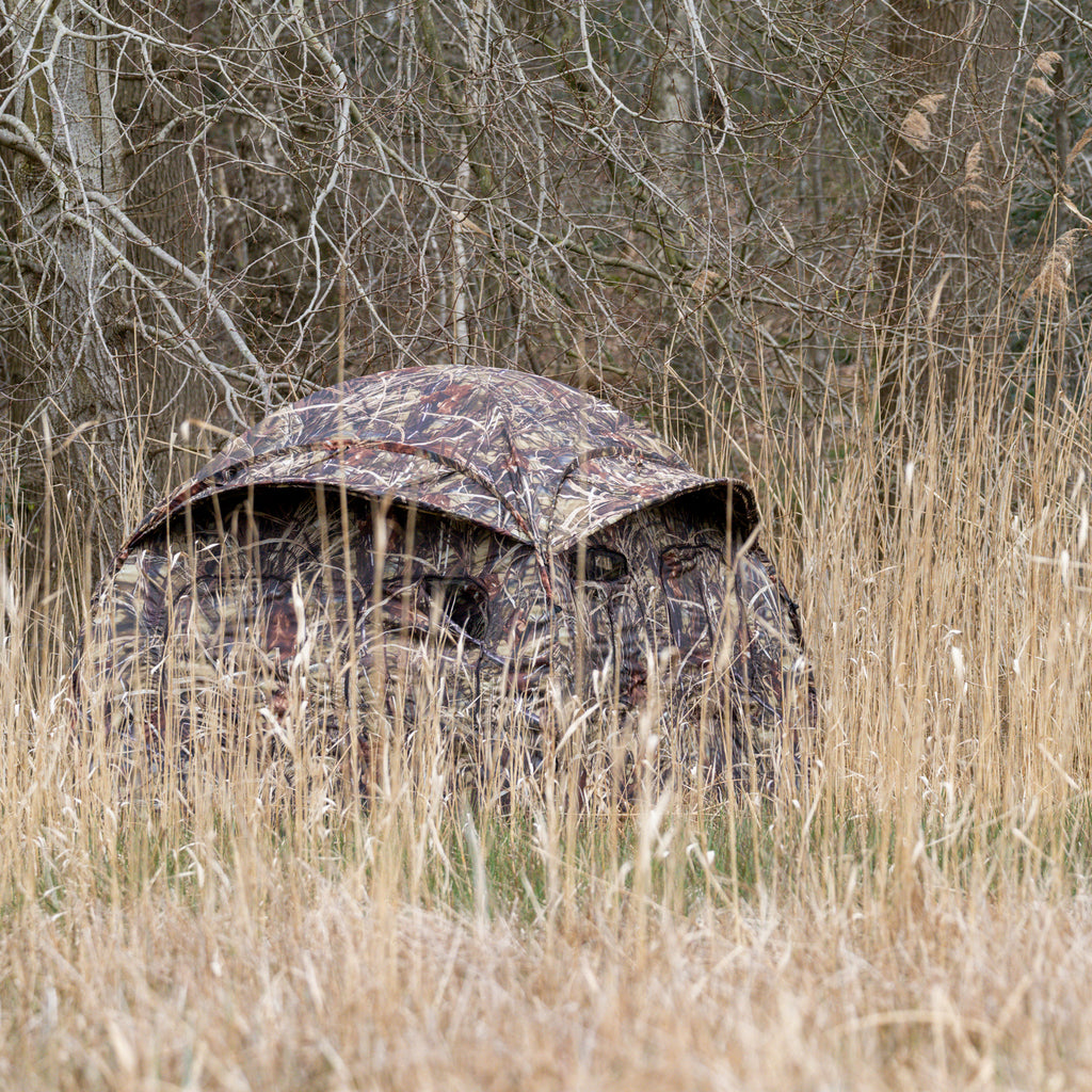 Buteo Photo Gear Tarnzelt Aquila Mark III Schilf