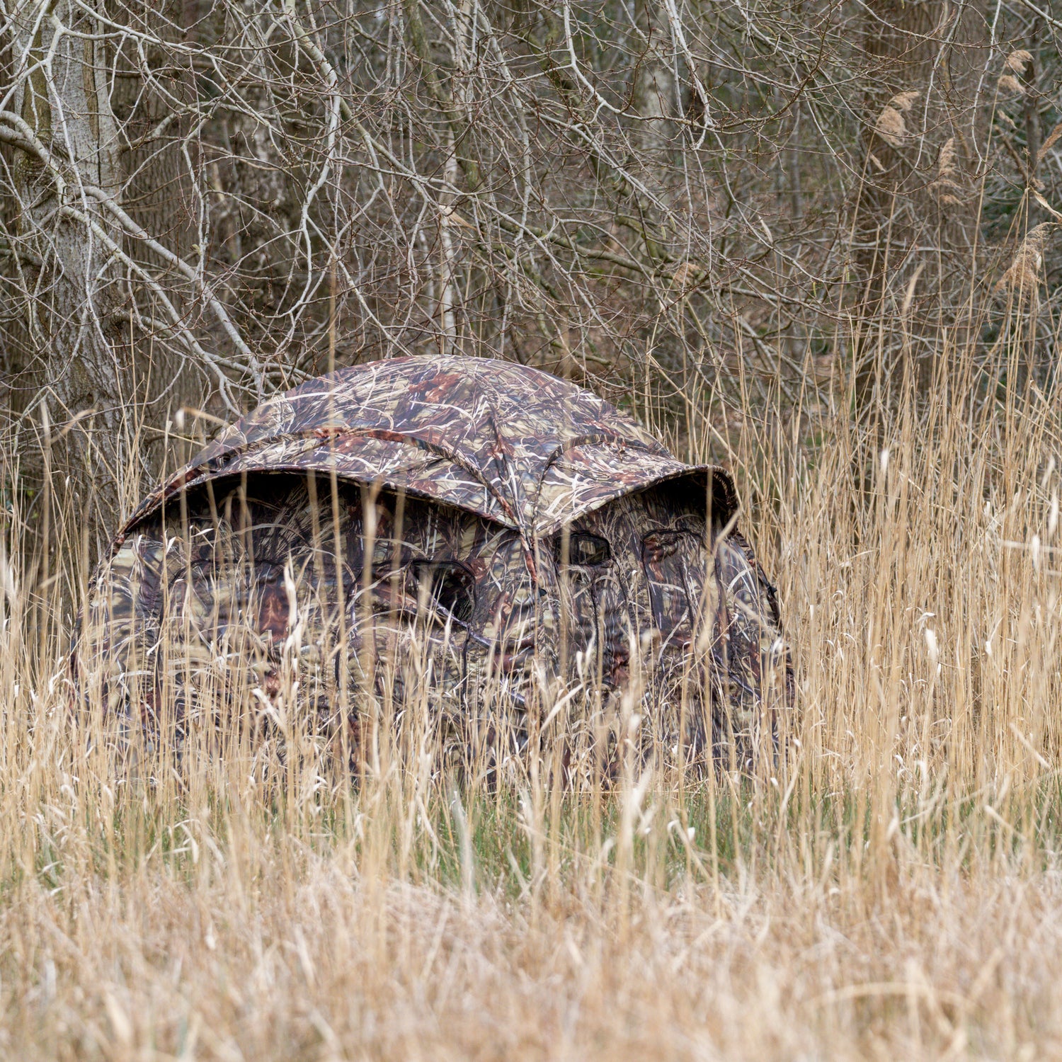 Buteo Photo Gear Tarnzelt Aquila Mark III Schilf