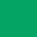 Falcon Eyes Hintergrund Papier 46 Chroma Green 2,18 x11 m
