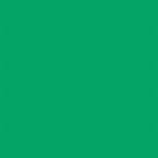 Falcon Eyes Hintergrund Papier 46 Chroma Green 2,18 x11 m