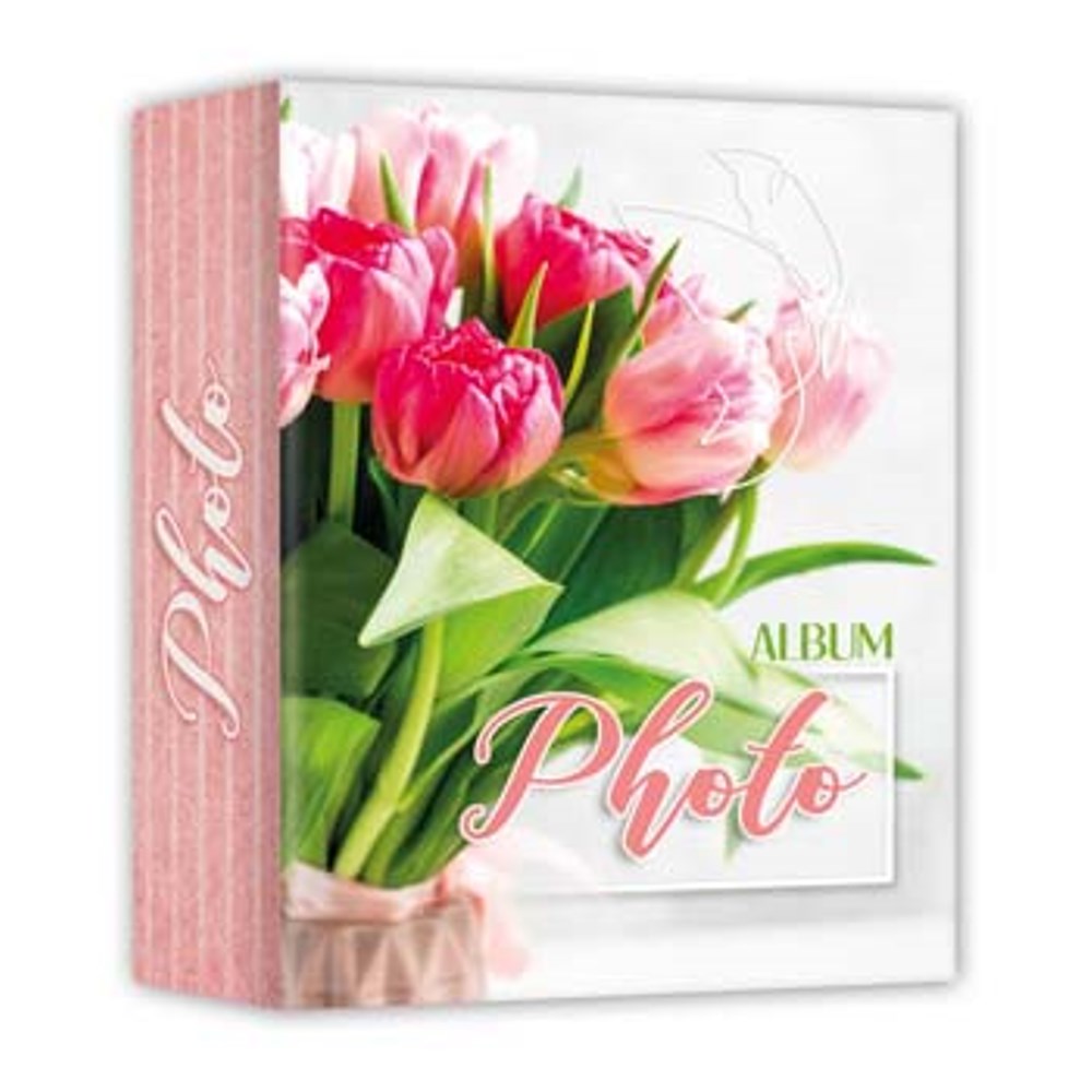 Zep AV46100 Album Slip-in 100 photos 10x15 cm - 24 albums