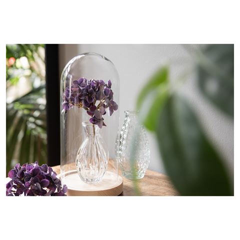 Clayre Eef Glasglocke 6GL4039 Braun 13x26 cm