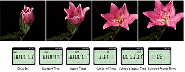 Pixel Timer-Fernbedienung Drahtlos TW-283/DC0 für Nikon