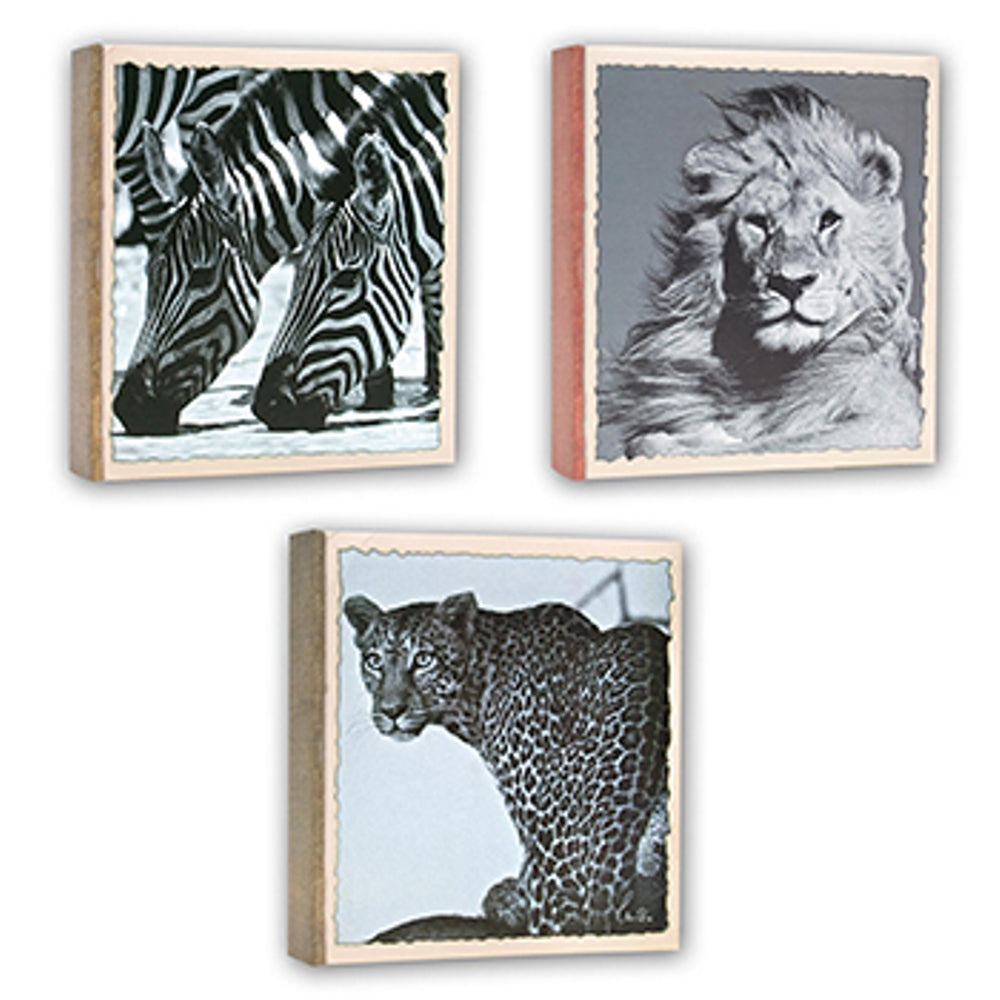 Zep WL57100 Album Slip-in 100 photos 13x19 cm - 12 Alben