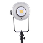 Falcon Eyes Bi-Color LED Lampe Set Dimmbar BL-30TD-K1