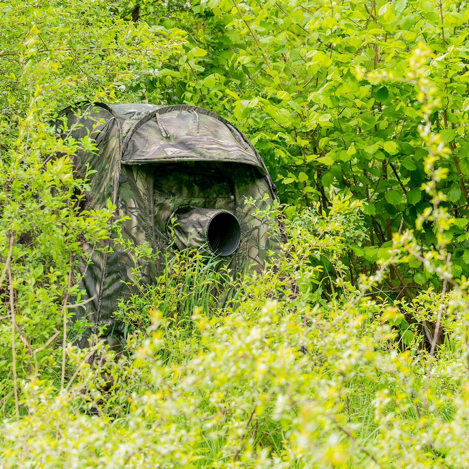 Buteo Photo Gear Tarnzelt Buteo Mark III Grün