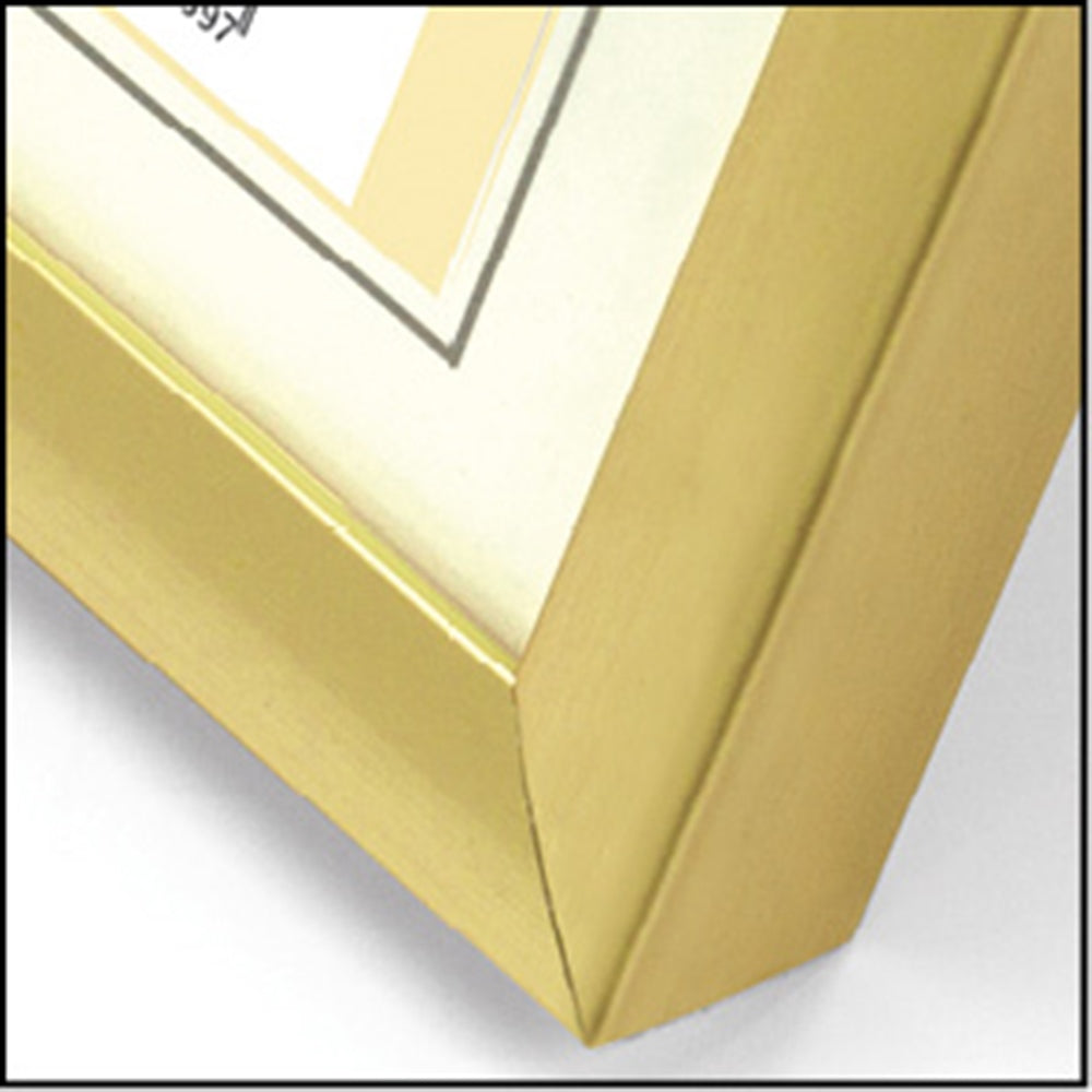 Zep Bilderrahmen KG6 Gold 30x45 cm