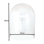 Clayre Eef Glasglocke 6GL3548 Transparent 23x22 cm