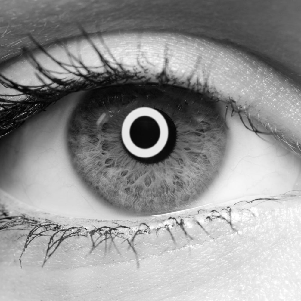 Kenro TTL Macro Ringblitz KFL201N für Nikon