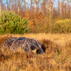 Buteo Photo Gear Tarnzelt Falco Mark II Hellbraun