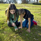 Carson Bugview Lupe mit Einhand-Insektenfänger