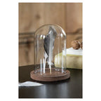 Clayre Eef 6GL1944 Glasglocke Transparent 12x16 cm